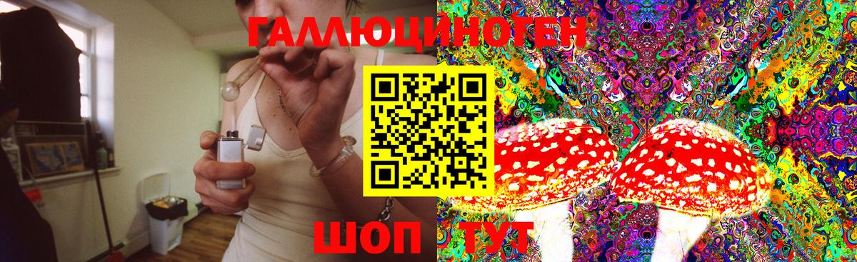 Псилоцибиновые грибы MAGIC MUSHROOMS  Вход с VPN  Балашов 